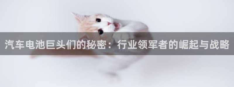 优发国际客服联系方式查询