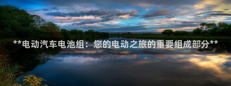 优发国际集团股份有限公司