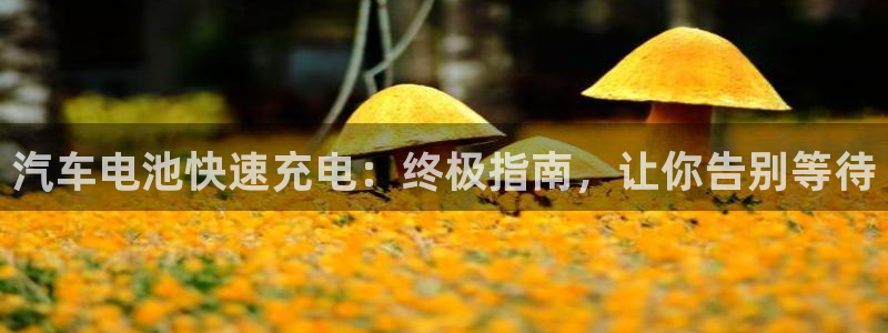 优发国际平台g8怎么样