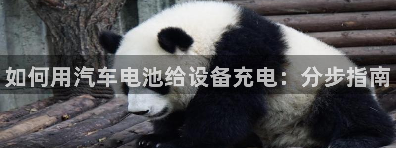 优发国际是大平台吗是真的吗