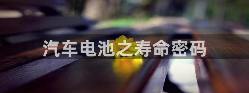 优发国际手机版网站下载