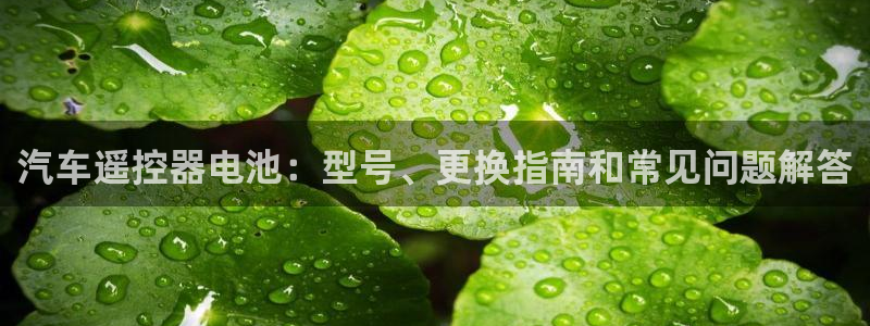优发国际手机版客户端