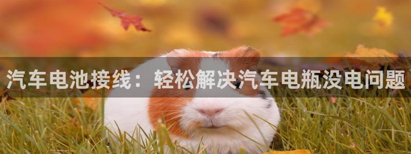 优发国际app登录密码