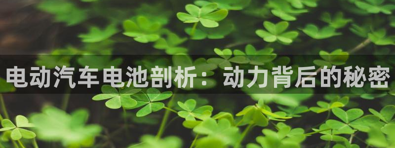 优发国际手机版官网入口
