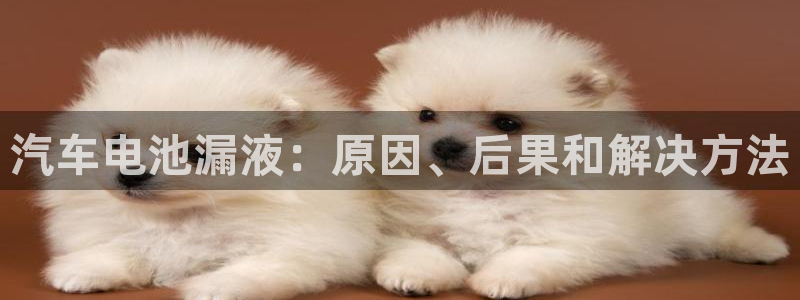 优发国际官网下载苹果版