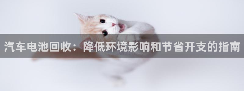 优发国际是大平台吗还是小平