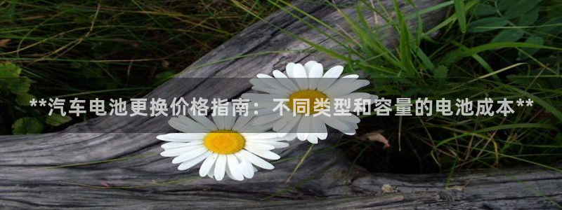 优发国际手机app下载安装最新版