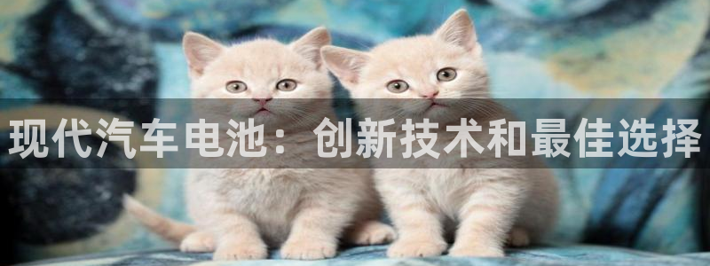 优发国际youfa