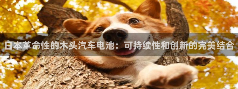 优发国际官网是多少号码