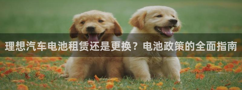 优发国际客服联系方式是什么
