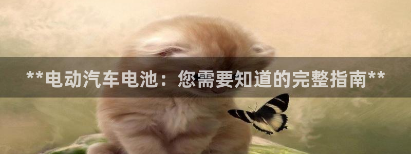 优发国际电话