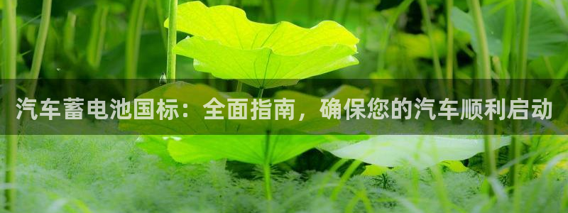 优发国际手机版客户端