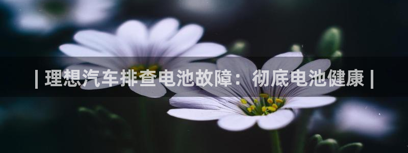 优发国际手机版官网