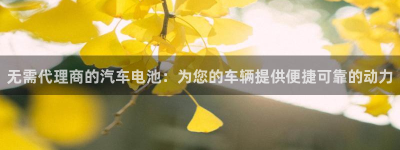 优发国际app官网下载安装苹果手机