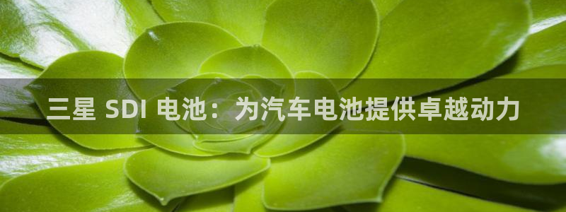 优发国际网官网址是多少