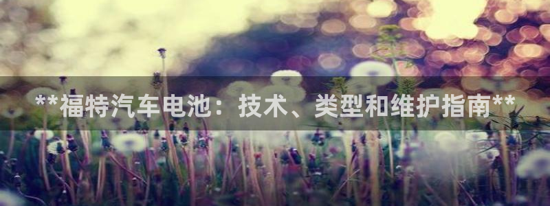 优发国际官网是多少号码