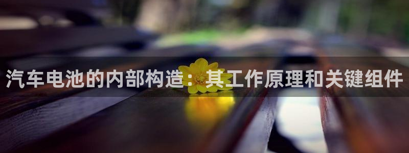 优发国际是大平台吗还是小平