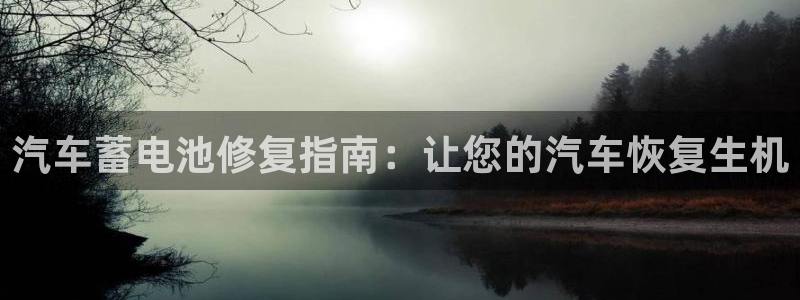 优发国际是大平台吗