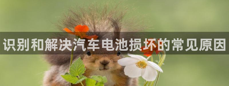 优发国际网站178