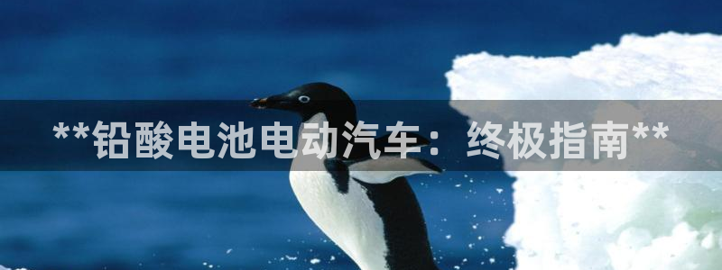 优发国际vip网址
