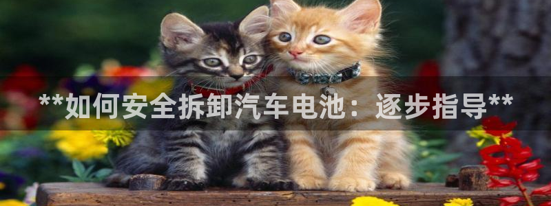 优发国际是大平台吗还是小平