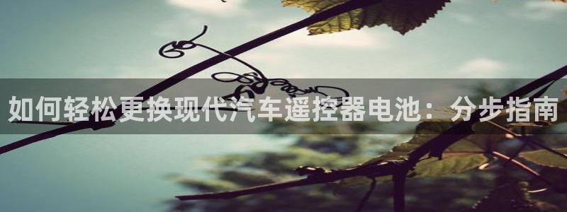 优发国际游戏官方网站入口