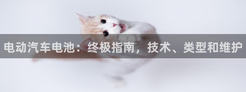 优发国际手机版客户端下载