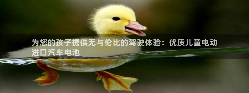 优发国际手机版下载