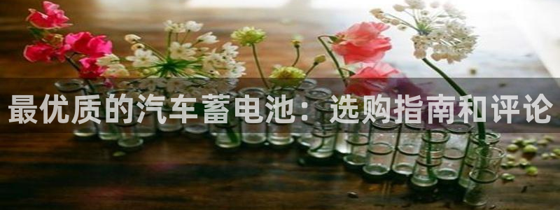 优发国际集团股份有限公司招聘