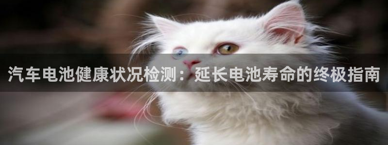 优发国际手机app下载安装