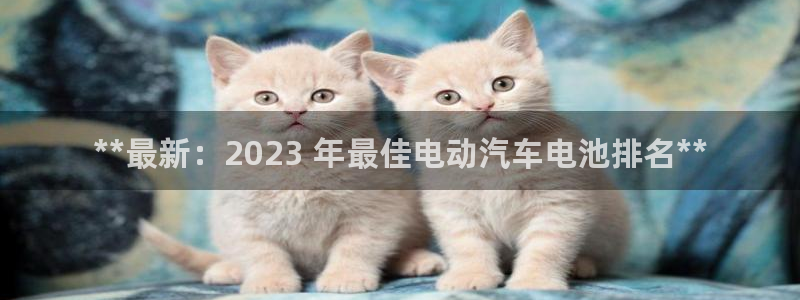 优发国际VIP网址