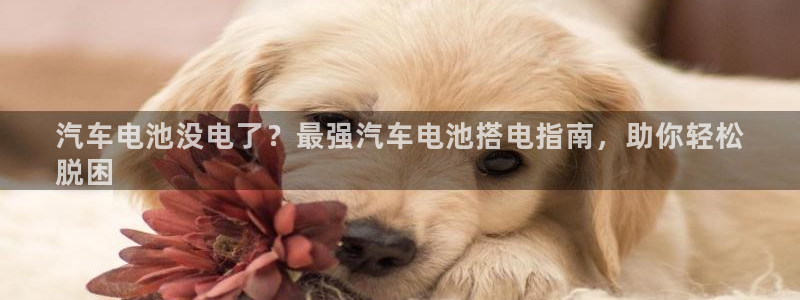 优发国际游戏