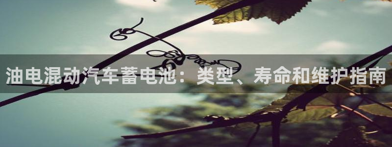 优发国际youfa