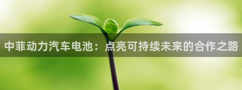 优发国际手机版客户端下载安装
