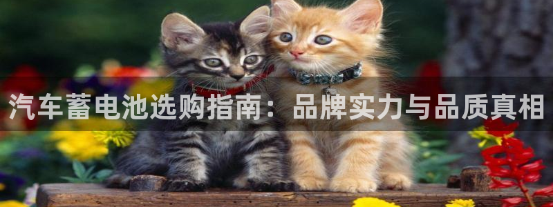 优发国际官网网站首页