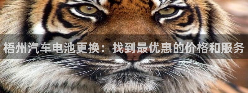 优发国际手机app下载安装