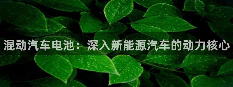 优发娱乐官网地址