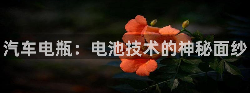 优发国际是大平台吗