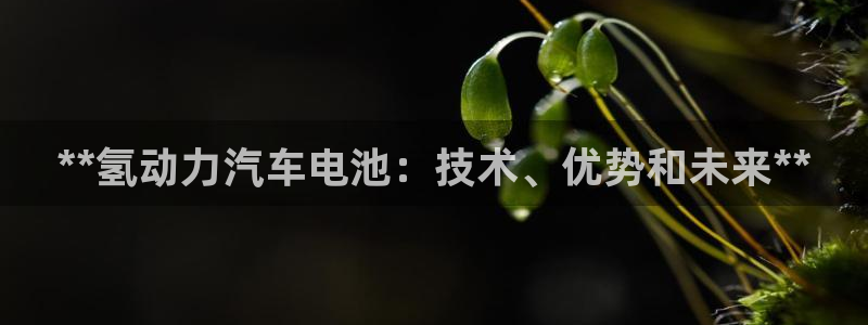 优发国际平台18