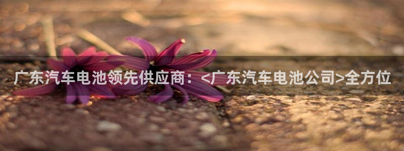优发国际网页