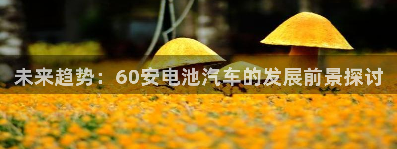优发国际官方网
