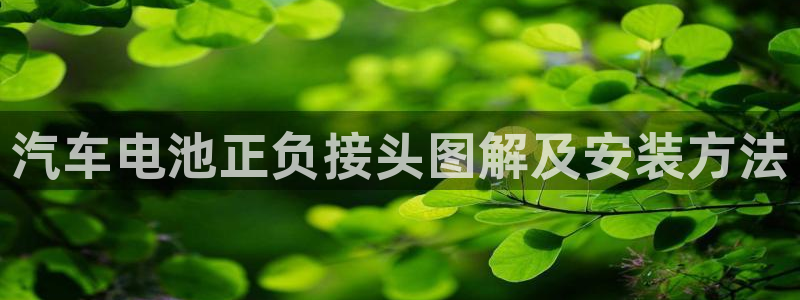 优发国际网官
