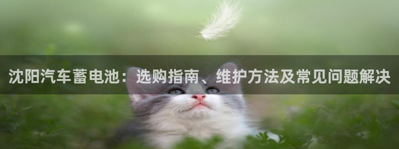 优发国际怎么样