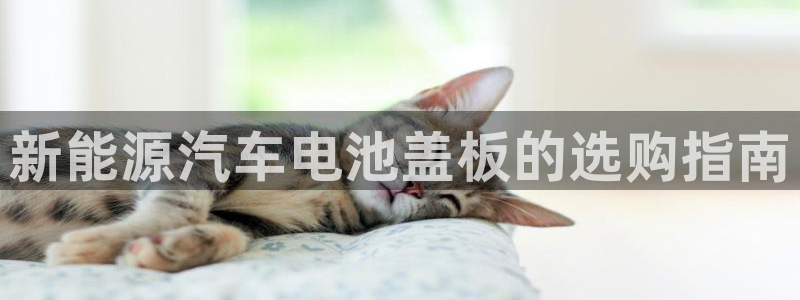 优发国际游戏网站
