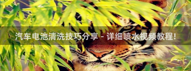 优发娱乐国际线上营业时间