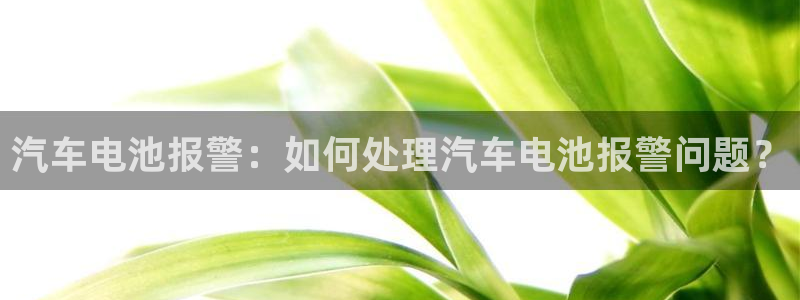 优发国际手机版下载官网