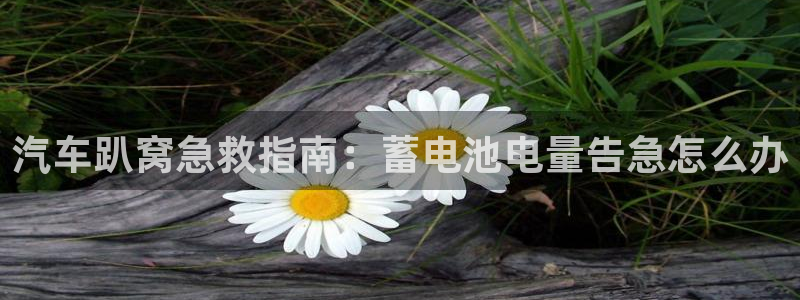 优发国际手机app下载安装最新版