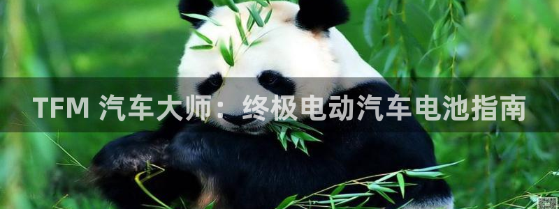 优发国际集团股份有限公司招聘