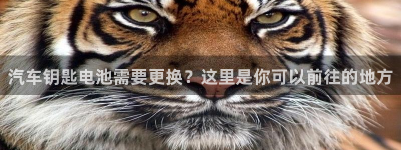 优发国际平台手机版下载