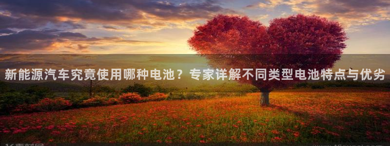优发娱乐官网地址